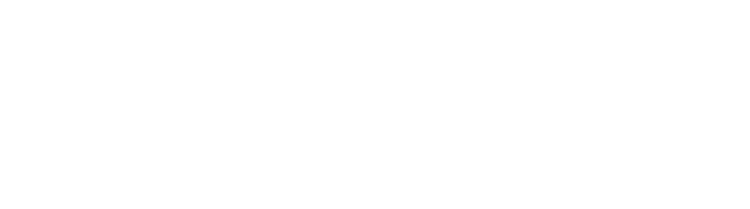 Your Company